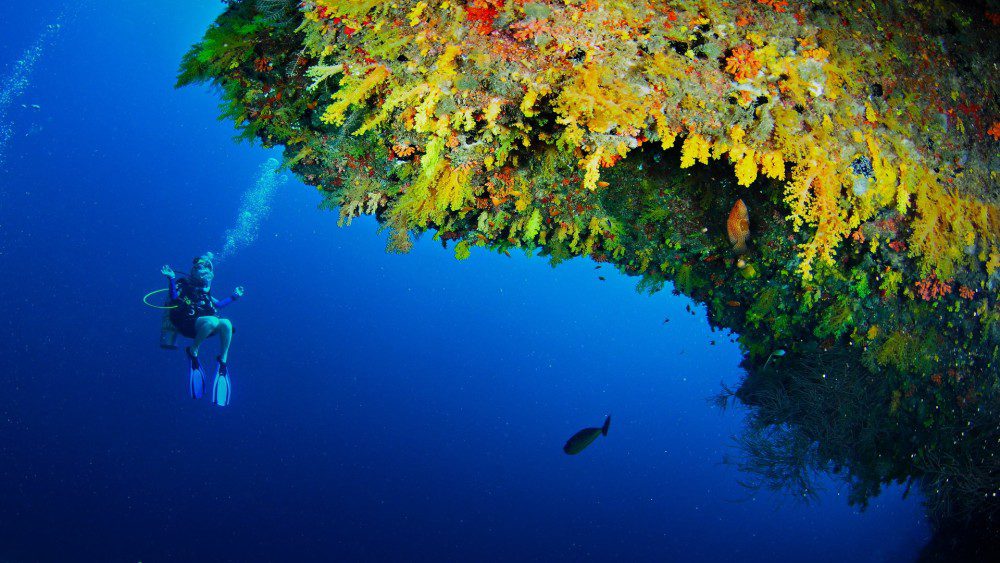 tourist is underwater