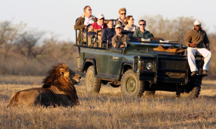 Tourists and guide