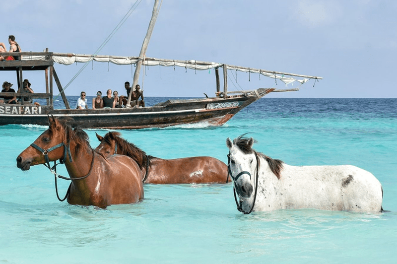 Horses in the sea