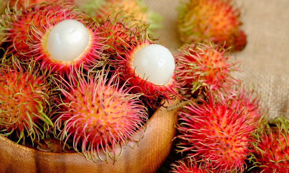 Rambutan fruit