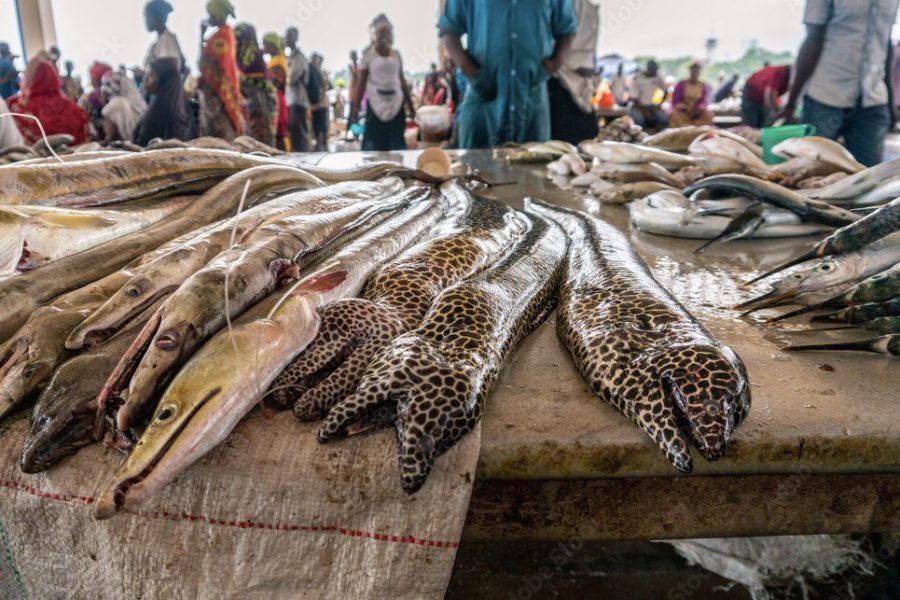 Kivukoni Fish Market