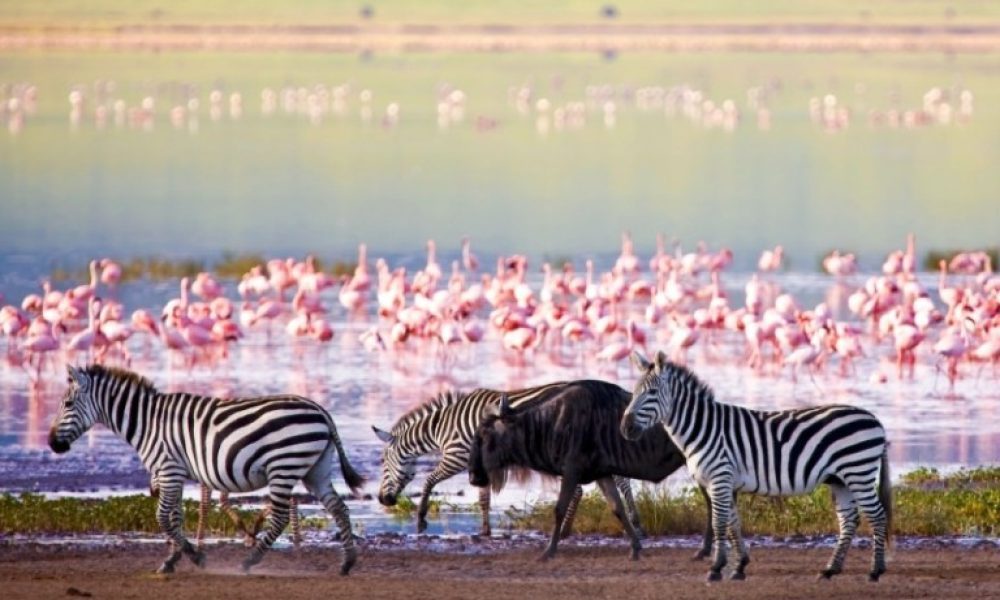 Lake Manyara Lake Manyara