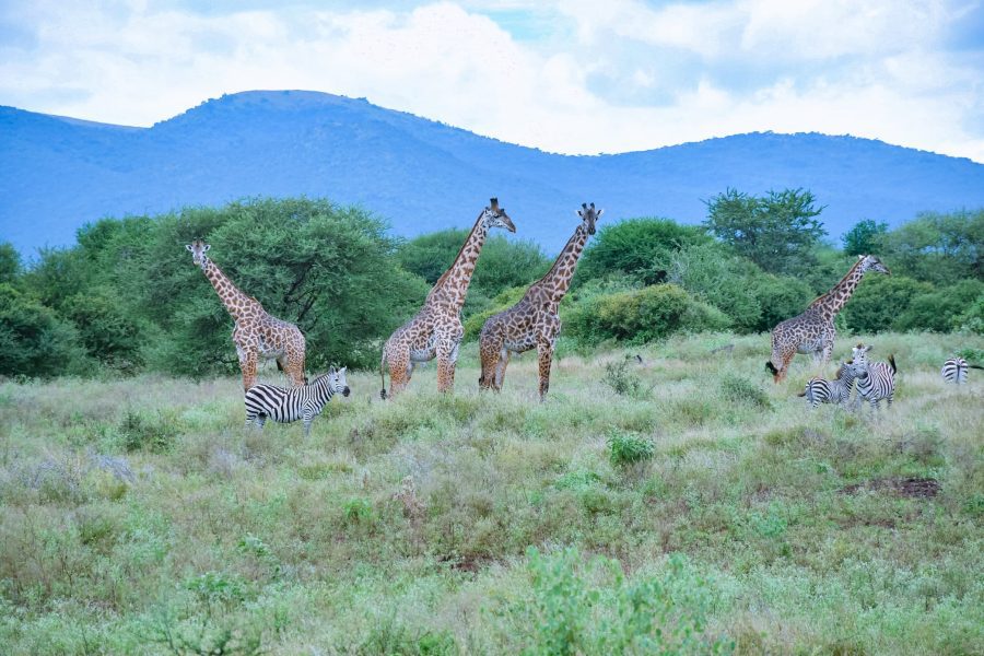 Makuyuni Wildlife Park Makuyuni Wildlife Park
