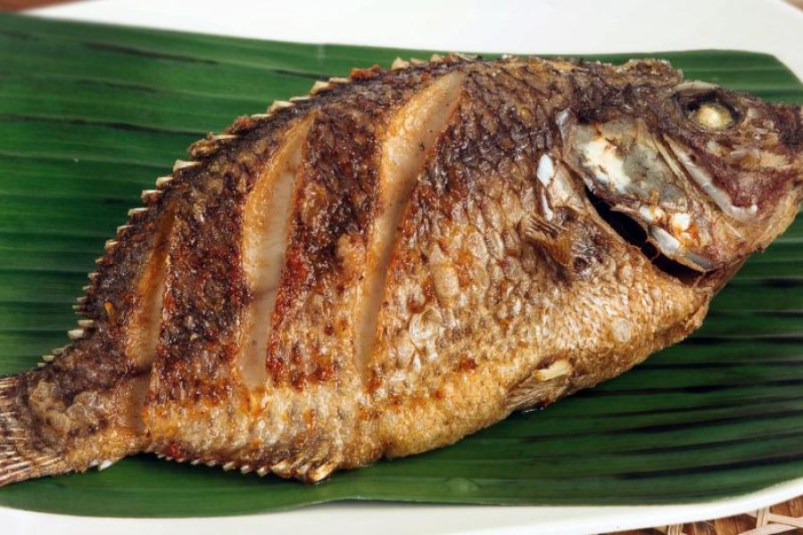 sato sato